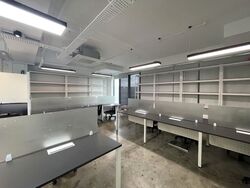 Trivex (D13), Factory #595603231